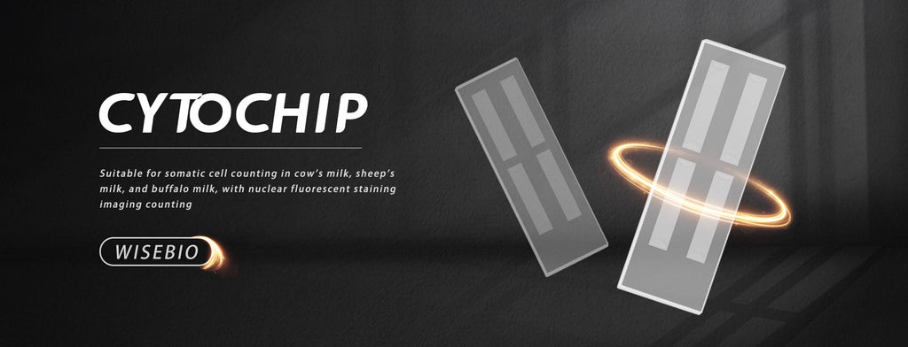 Precision Mastitis Prevention & Control Program for Dairy Farms | CytoVue