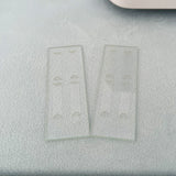 CytoChip_Cytovue_Somatic Cell Count_Detection of dairy cow mastitis